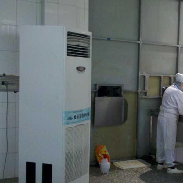 滨海新区食品正负离子空气杀菌器